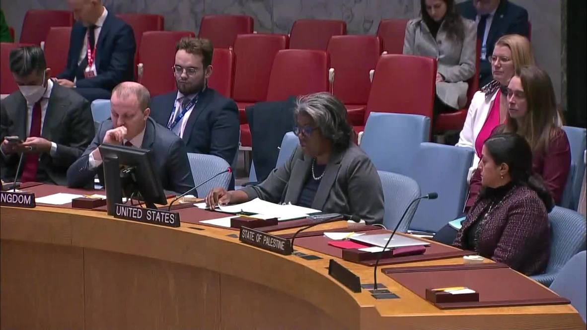 UN: US committed to two-state solution as UNSC address Israel-Palestine conflict